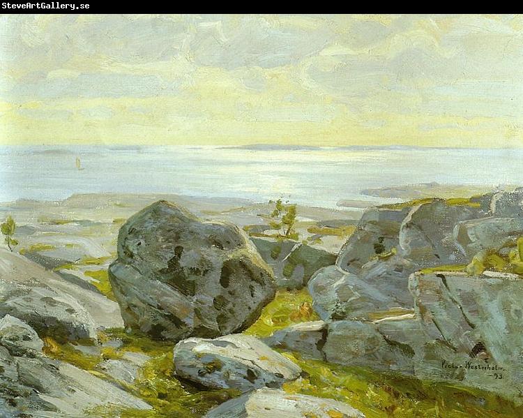 Victor Westerholm Coast view from Alandia